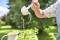 Frau gießt schwunvoll Wasser aus einer Kelle in ein Glas