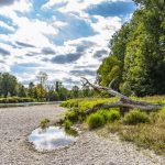 Das Isarufer im Landkreis Freising