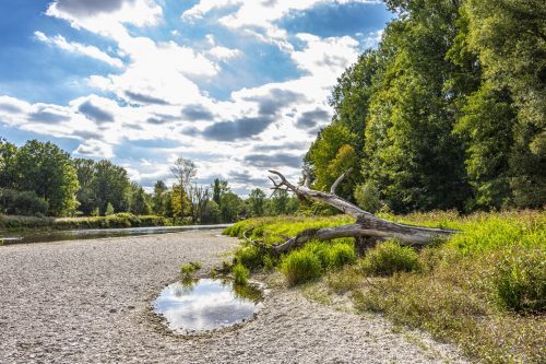 Die Isar-Auen im Landkreis Freising