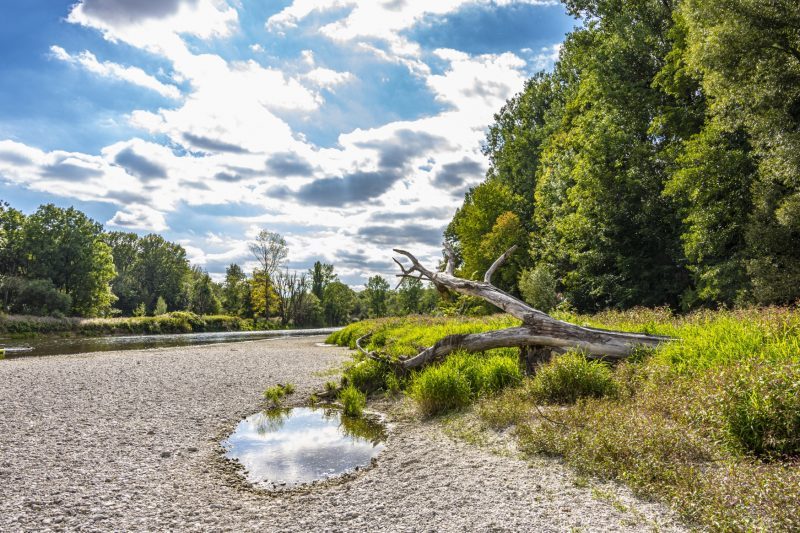 Das Isarufer im Landkreis Freising