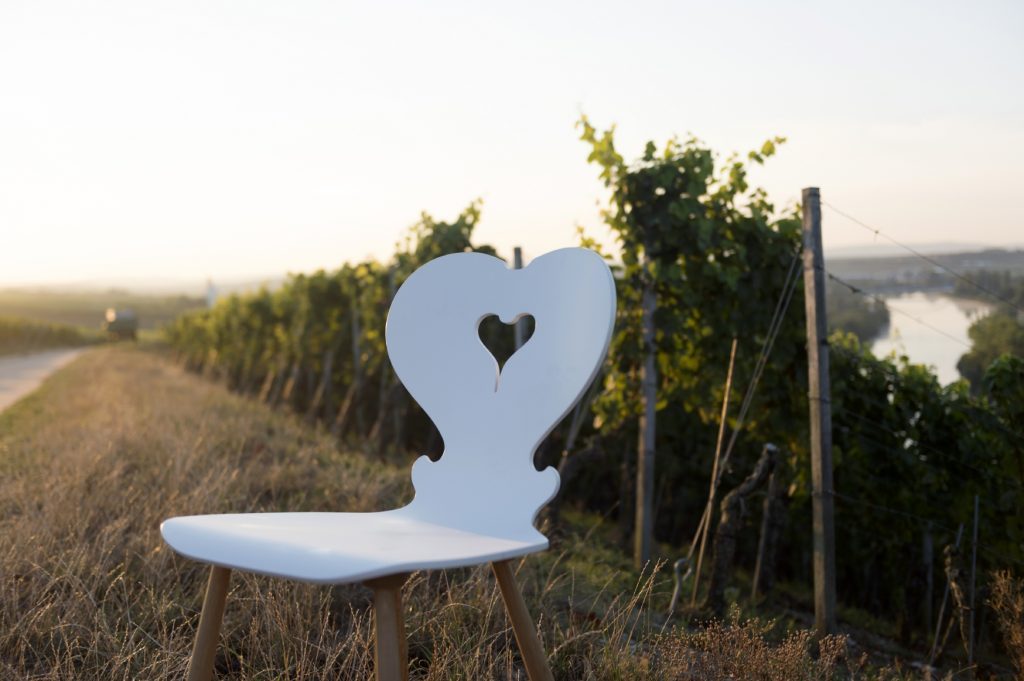 Hochdiher - ein Stuhl steht im Abendlicht an einem Weinberg.