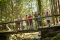 Mehrere Kinder stehen zusammen mit Rangerin Kristin Biebl im Wald auf einer hölzernen Brücke.