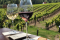 Wine tasting in Franconia
