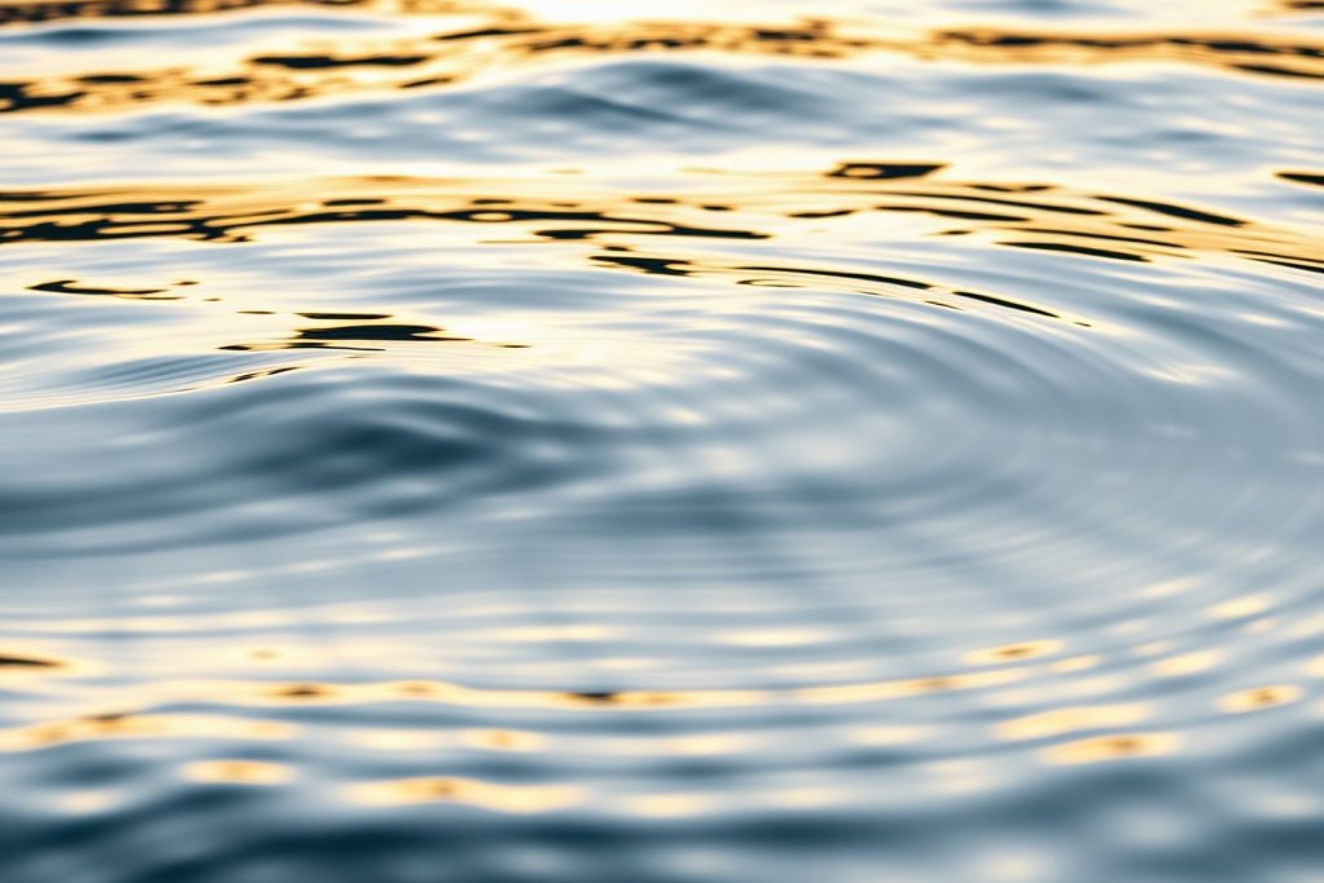 Eine Nahaufnahme von Wasseroberflächen mit sanften Wellen, die das Licht der untergehenden Sonne reflektieren. Die Farben variieren zwischen goldenen und blauen Tönen, was eine beruhigende und friedliche Stimmung erzeugt. Die Wellen sind weich und gleichmäßig, wodurch ein harmonisches Muster entsteht.