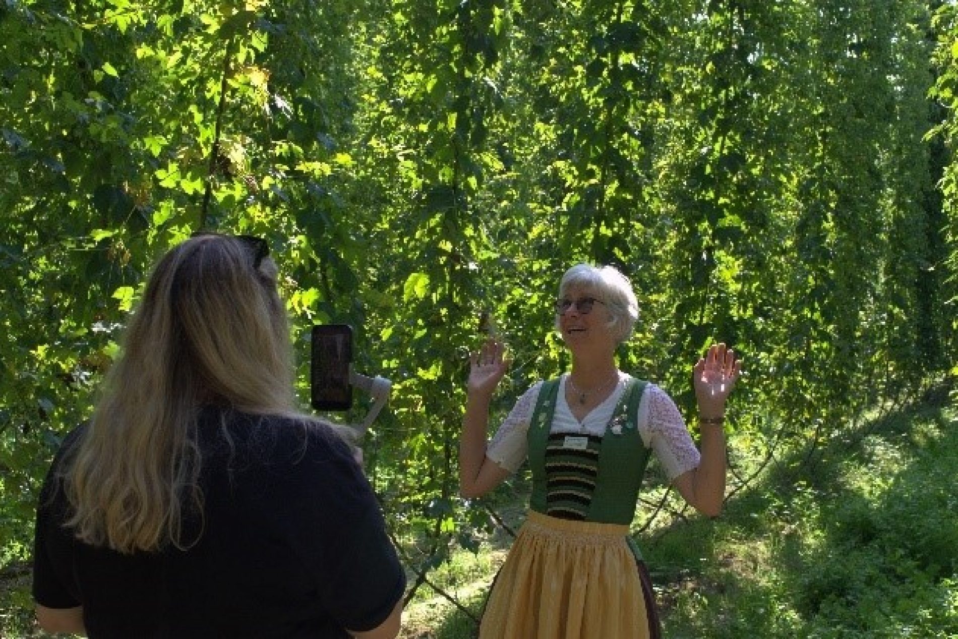 Eine Frau wird in einem Hopfenanbaugebiet von einer anderen Frau interviewt und mit dem Smartphone gefilmt.