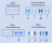 Infografik mit vier Stufen der Personalisierung: keine, Basis-, fortgeschrittene und Hyper-Personalisierung – von einem einheitlichen Angebot bis zu individuell zugeschnittenen Angeboten.