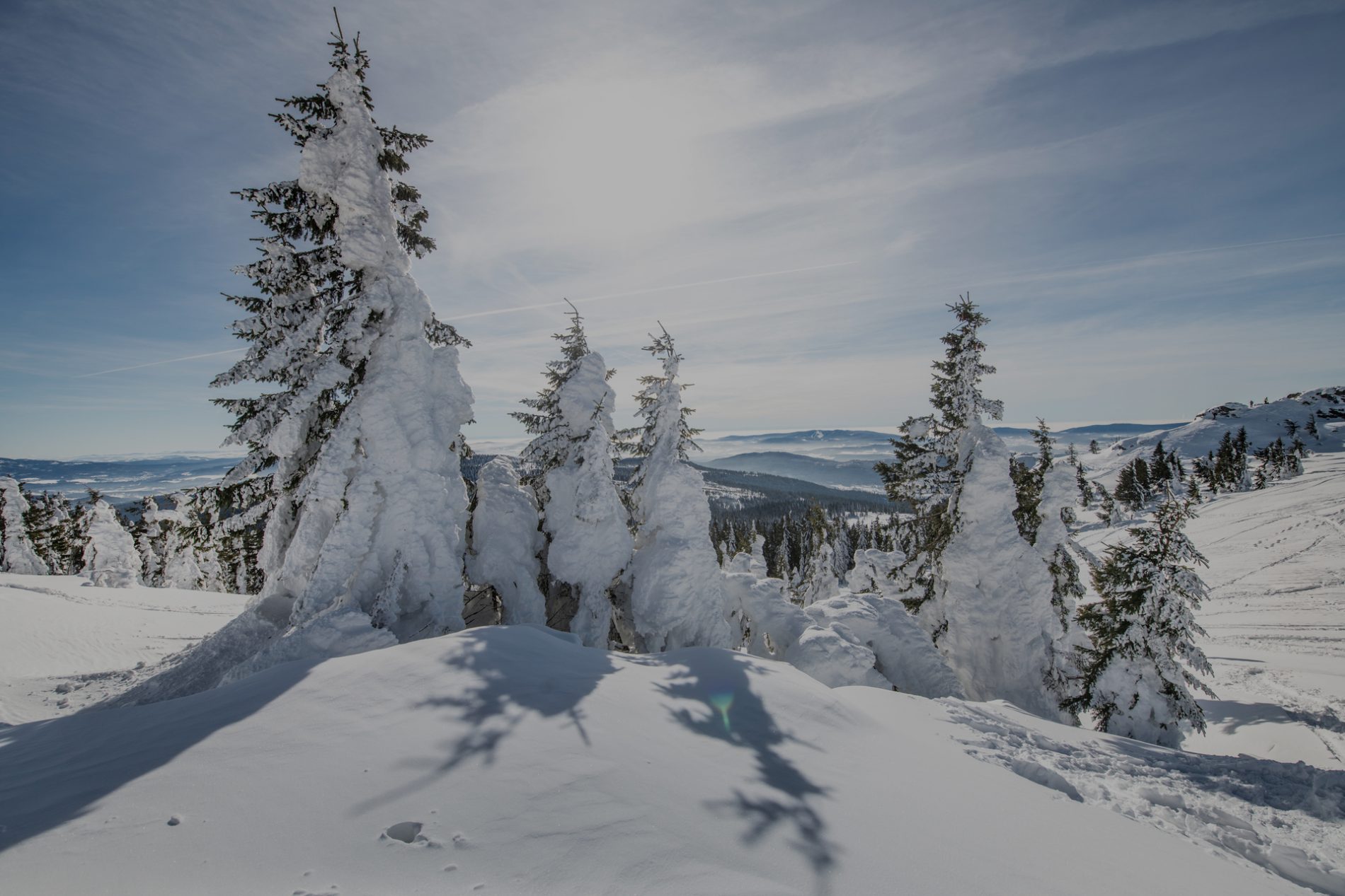 007arber-(c)-erlebe.bayern—Peter-von-Felbert Verschneite Berglandschaft mit von Eis bedeckten Kiefern, weiter Horizont und blauem Himmel.