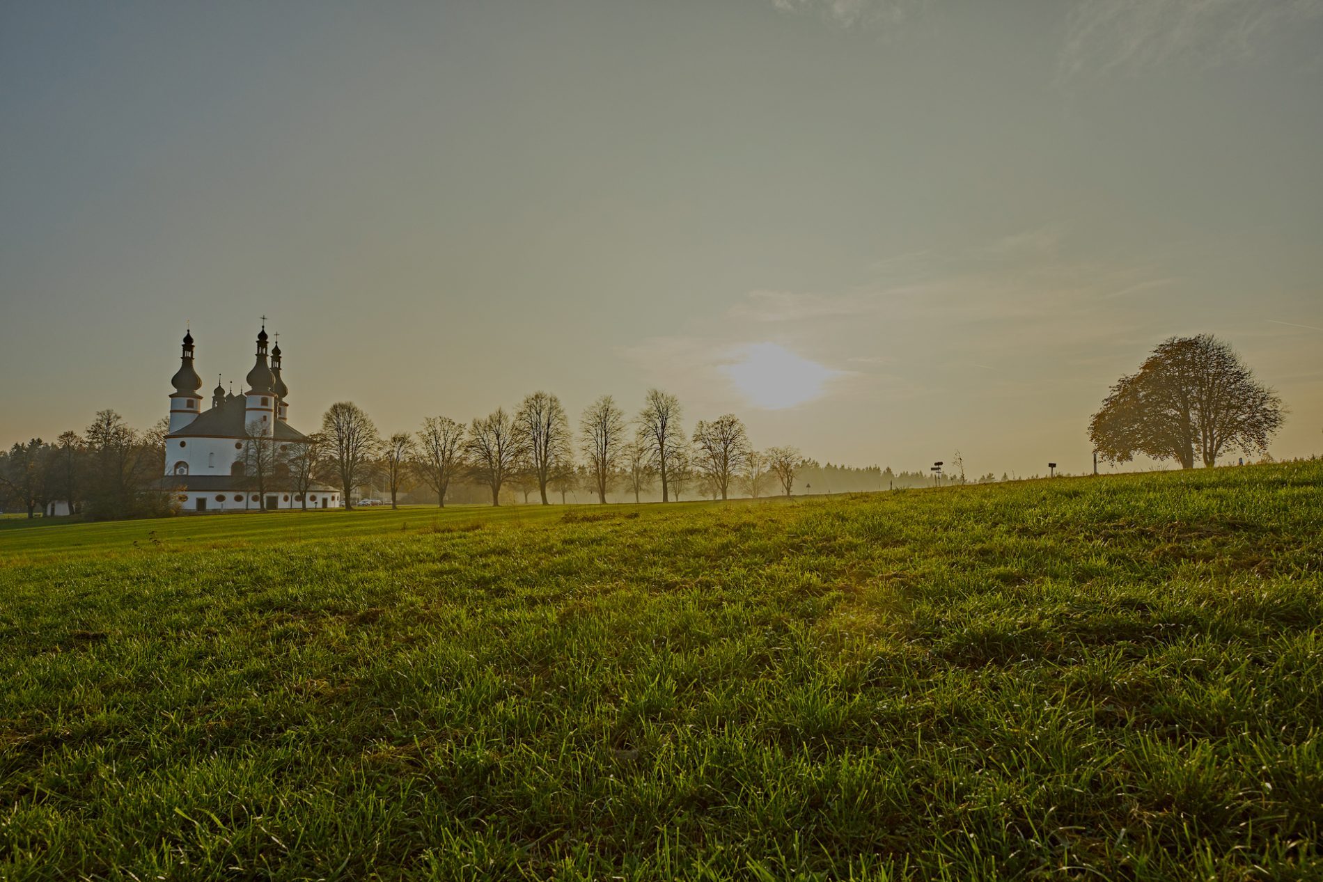 W5A0320-(c)-erlebe.bayern—Gert-Krautbauer Wiesen in Bayern mit einer weißen Kirche im Hintergrund, umgeben von Bäumen und sanften Hügeln, im Morgenlicht.